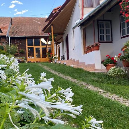 Casa Kelemen Iren Hotell Rimetea Eksteriør bilde
