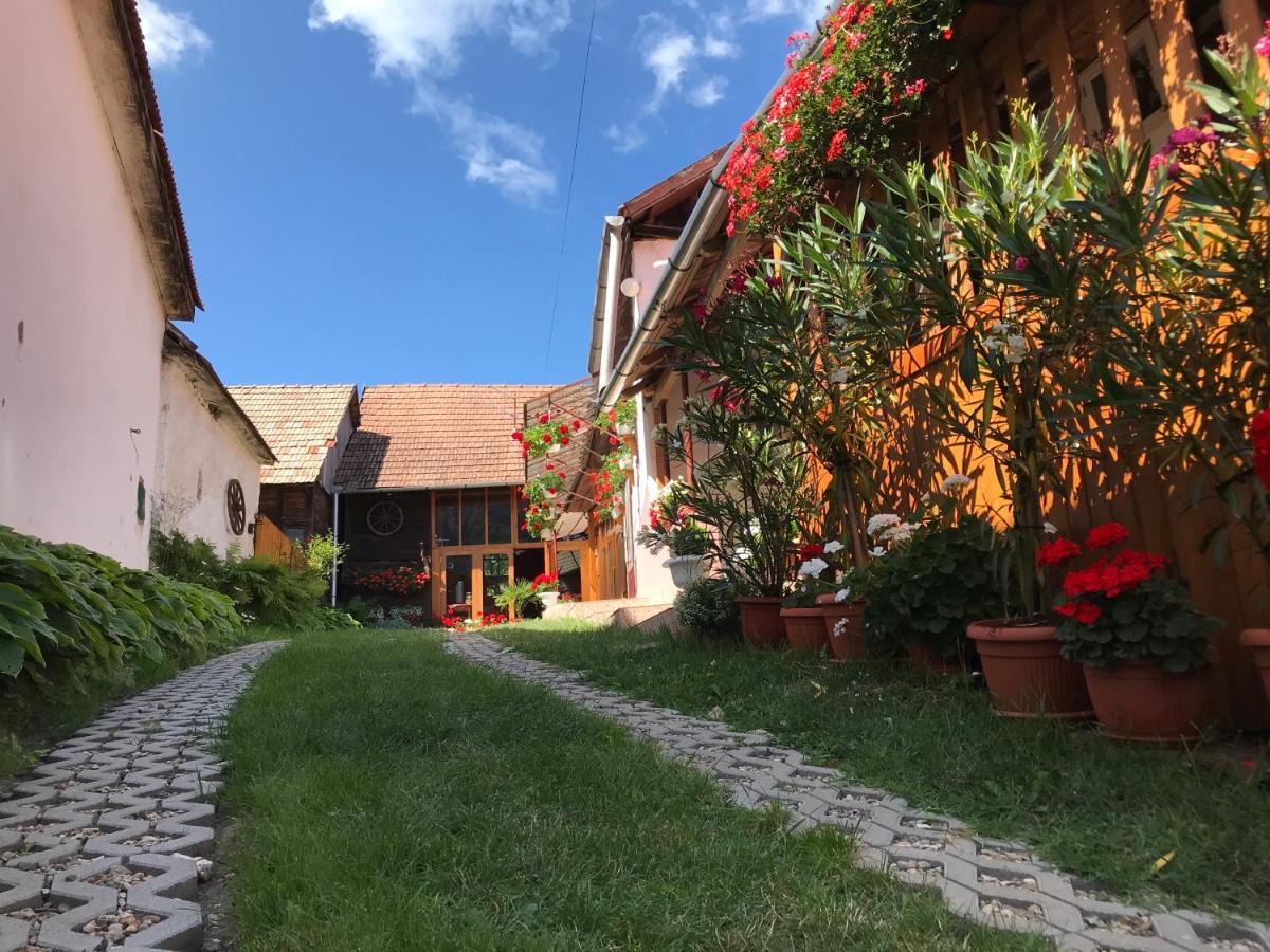 Casa Kelemen Iren Hotell Rimetea Eksteriør bilde